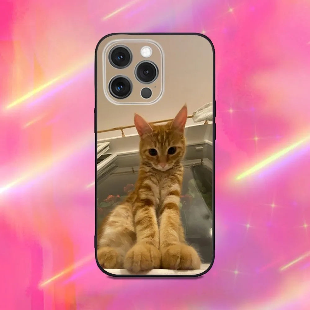 Funny Cute Cat Phone Case For iPhone 16 15 14 13 12 11 Pro Max Mini X XS SE 7 8 Plus 16E Shockproof Non-Slip Soft Back Cover